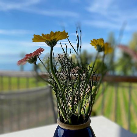 Appartementhotel Roehrenbach Immenstaad am Bodensee Dış mekan fotoğraf