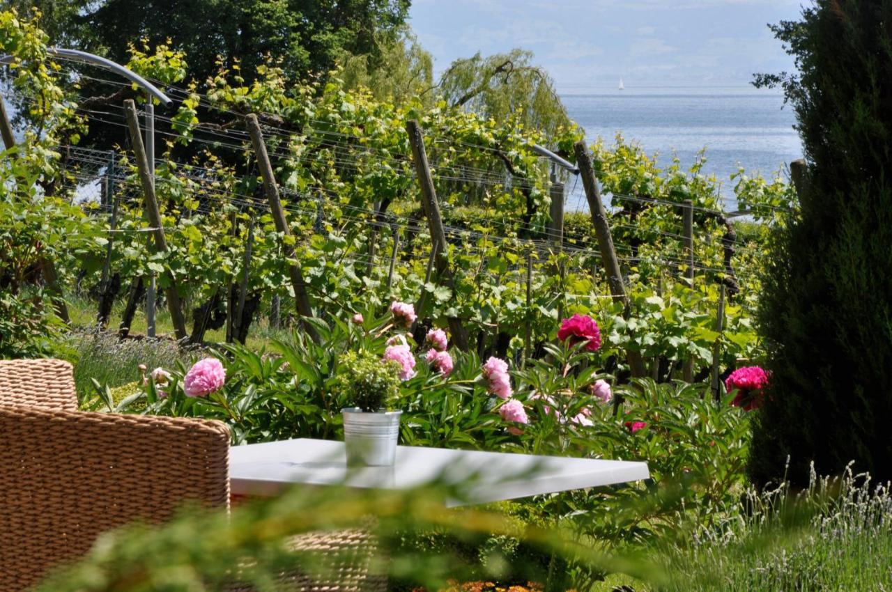 Appartementhotel Roehrenbach Immenstaad am Bodensee Dış mekan fotoğraf
