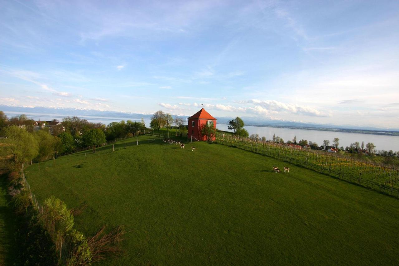 Appartementhotel Roehrenbach Immenstaad am Bodensee Dış mekan fotoğraf