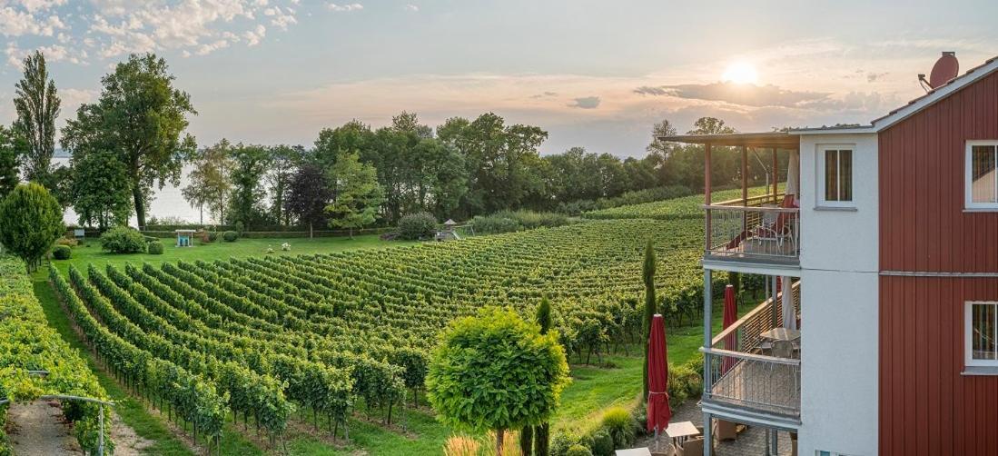 Appartementhotel Roehrenbach Immenstaad am Bodensee Dış mekan fotoğraf